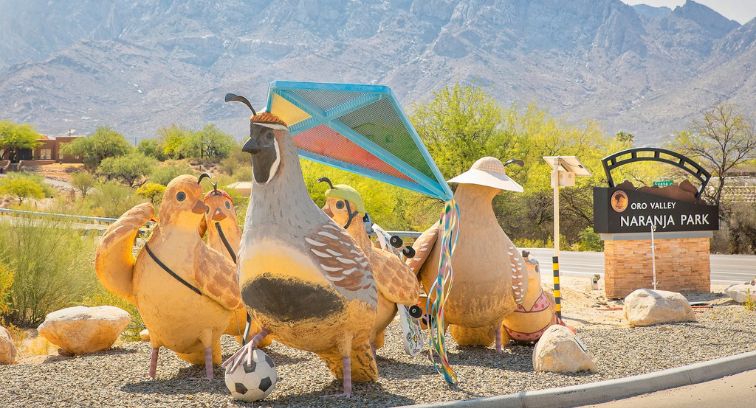 Oro Valley, Arizona Homebuying & Mortgage Guide | The Polder Group