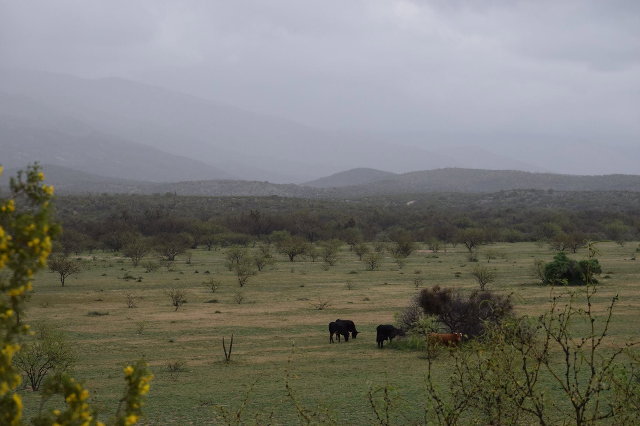 Vail, Arizona Homebuying & Mortgage Guide | The Polder Grou